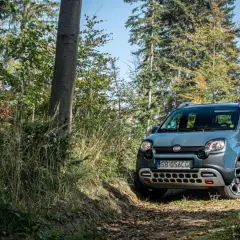 Szary Fiat Panda Cross 4x4 na leśnej ścieżce, gotowy na przygodę.