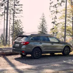 Zielone auto z napędem 4x4 zaparkowane na leśnej drodze wśród drzew.