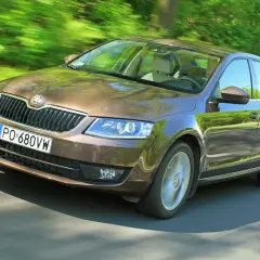 Brązowa Octavia 2.0 TDI pędzi leśną drogą, odbijając zieleń drzew w lśniącej karoserii.