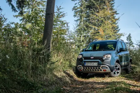 Szary Fiat Panda Cross 4x4 na leśnej ścieżce, gotowy na przygodę.