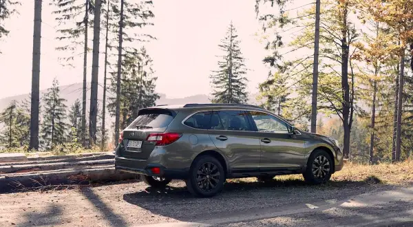 Zielone auto z napędem 4x4 zaparkowane na leśnej drodze wśród drzew.