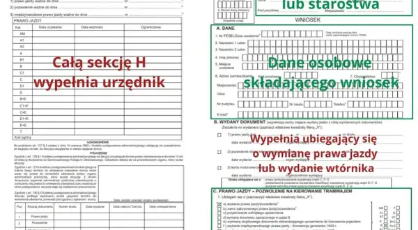 Formularz wniosku o wydanie lub wymianę prawa jazdy. Wypełnia go osoba, która musi wymienić prawo jazdy lub ubiega się o nowe.