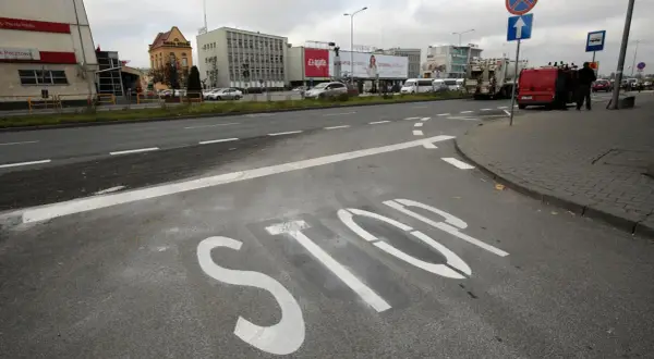 Na asfalcie widoczna jest biała linia warunkowego zatrzymania "STOP". W tle budynki i pojazdy.
