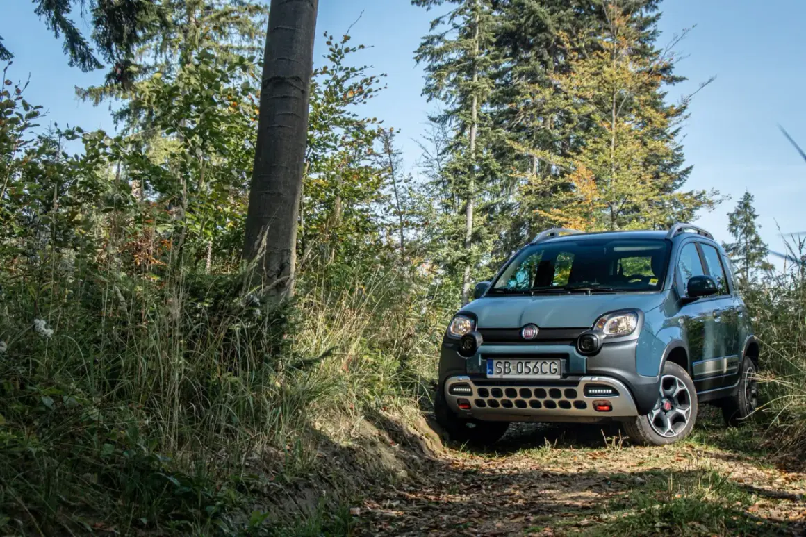 Szary Fiat Panda Cross 4x4 na leśnej ścieżce, gotowy na przygodę.